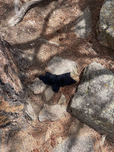 Load image into Gallery viewer, Jane Bottoms | Noir